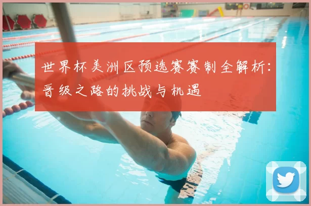 世界杯美洲区预选赛赛制全解析:晋级之路的挑战与机遇