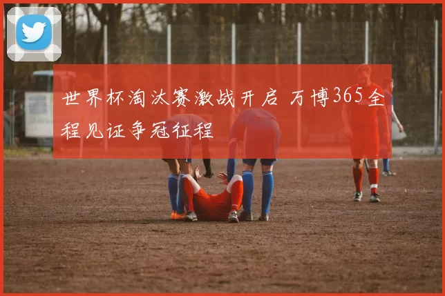世界杯淘汰赛激战开启 万博365全程见证争冠征程