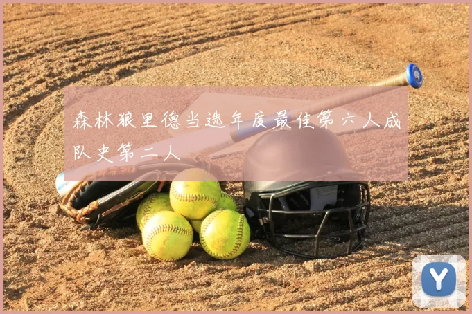 森林狼里德当选年度最佳第六人成队史第二人