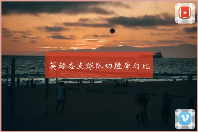 英超各支球队的胜率对比