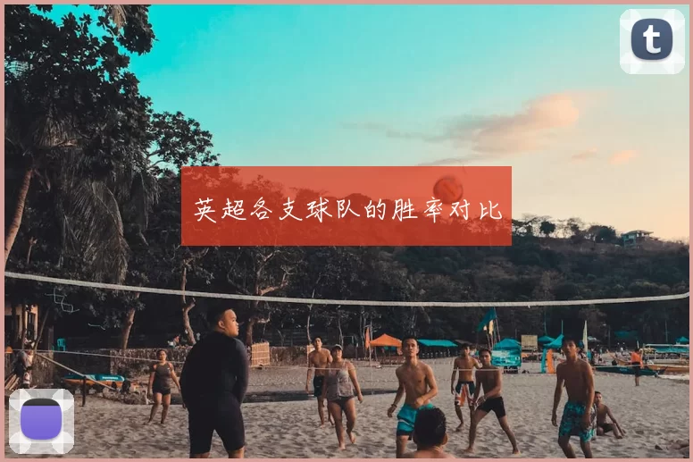 英超各支球队的胜率对比