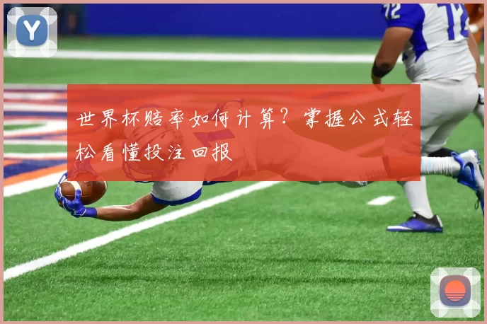 世界杯赔率如何计算?掌握公式轻松看懂投注回报
