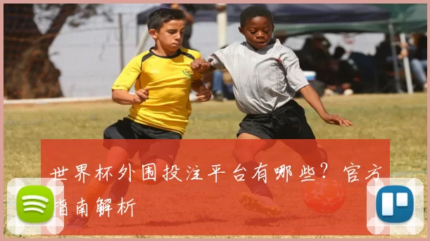 世界杯外围投注平台有哪些？官方指南解析