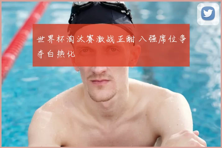 世界杯淘汰赛激战正酣 八强席位争夺白热化