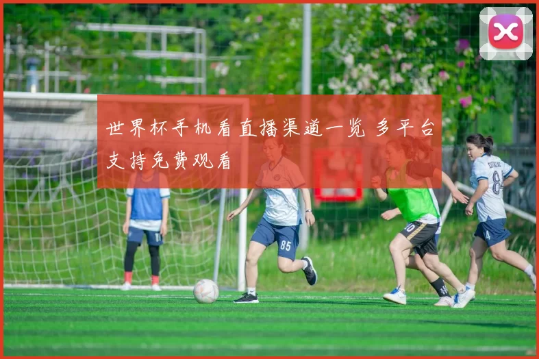 世界杯手机看直播渠道一览 多平台支持免费观看
