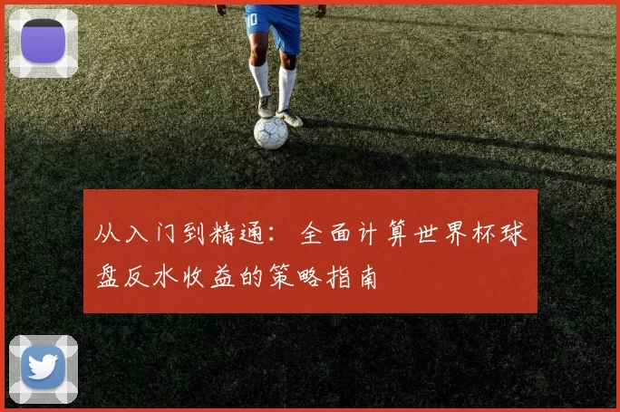 从入门到精通:全面计算世界杯球盘反水收益的策略指南