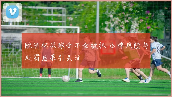 欧洲杯买球会不会被抓 法律风险与处罚后果引关注