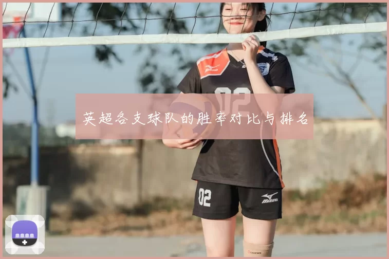 英超各支球队的胜率对比与排名
