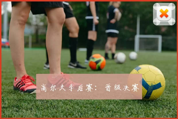 高尔夫季后赛：晋级决赛