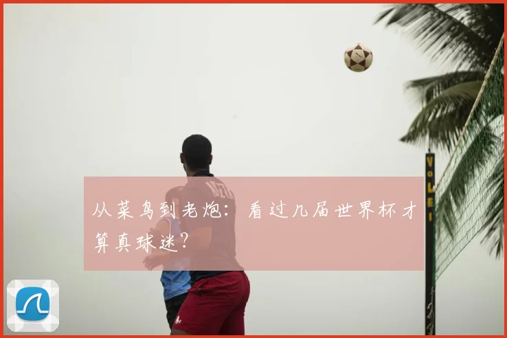 从菜鸟到老炮：看过几届世界杯才算真球迷？