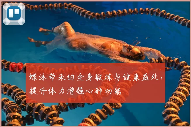蝶泳带来的全身锻炼与健康益处，提升体力增强心肺功能