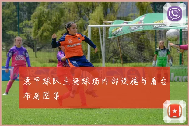 意甲球队主场球场内部设施与看台布局图集