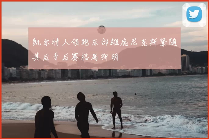 凯尔特人领跑东部雄鹿尼克斯紧随其后季后赛格局渐明