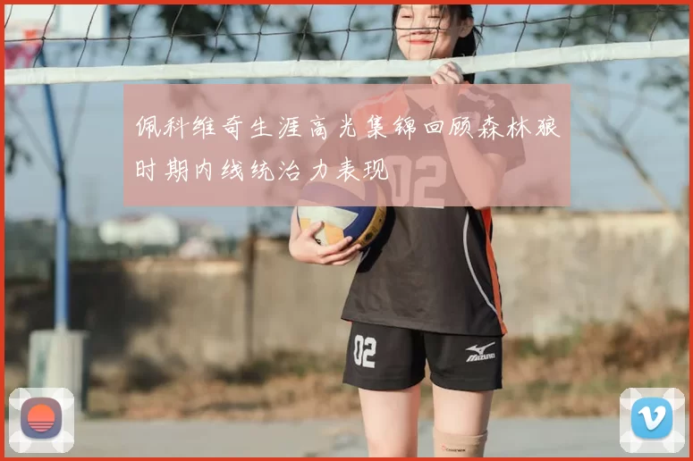 佩科维奇生涯高光集锦回顾森林狼时期内线统治力表现