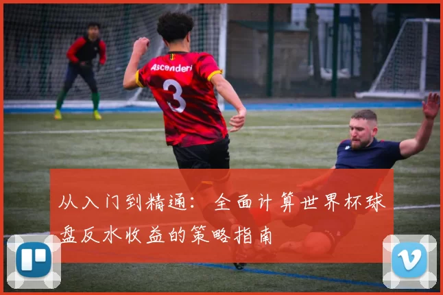 从入门到精通:全面计算世界杯球盘反水收益的策略指南
