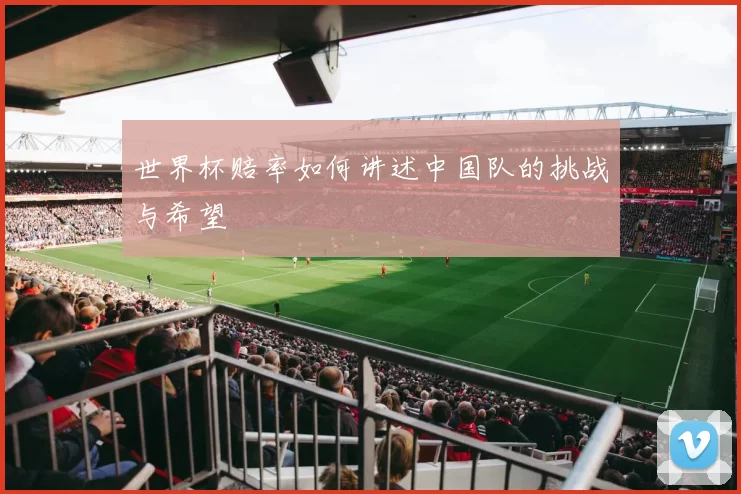 世界杯赔率如何讲述中国队的挑战与希望