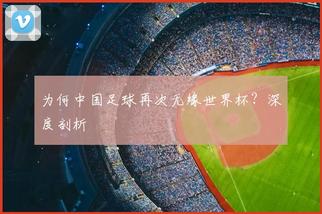 为何中国足球再次无缘世界杯?深度剖析