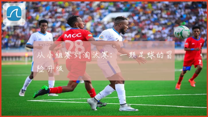 从小组赛到淘汰赛:一颗足球的冒险升级
