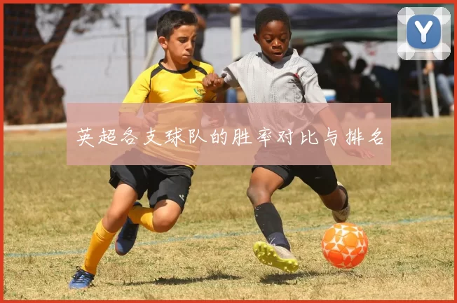英超各支球队的胜率对比与排名