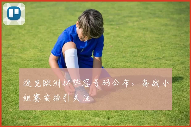 捷克欧洲杯阵容号码公布,备战小组赛安排引关注
