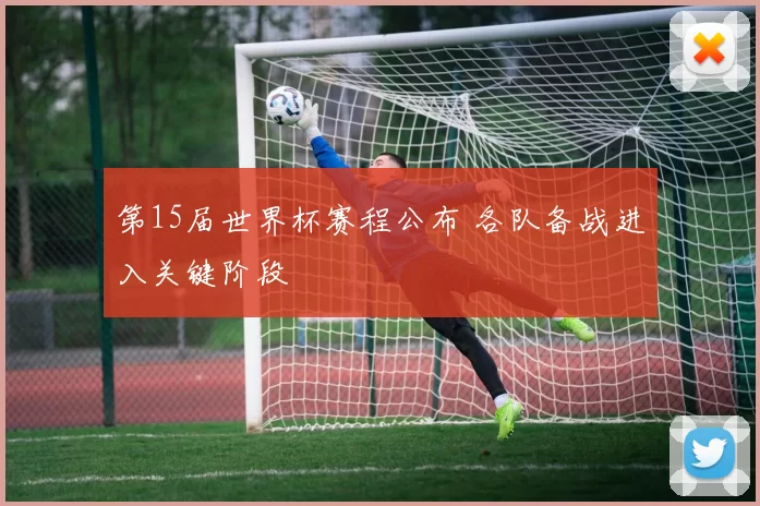 第15届世界杯赛程公布 各队备战进入关键阶段