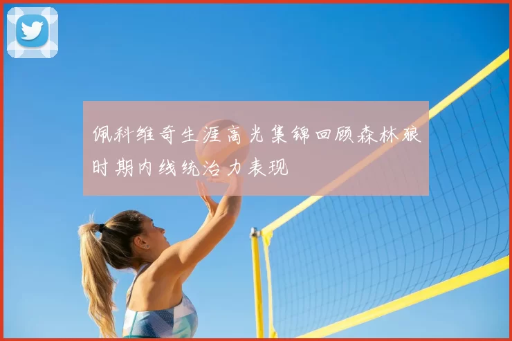佩科维奇生涯高光集锦回顾森林狼时期内线统治力表现